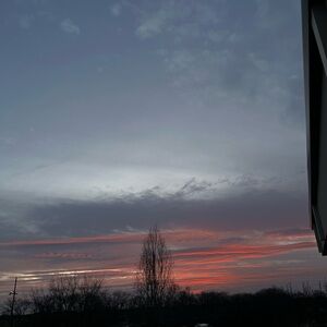 Meet your Posher, Trinity